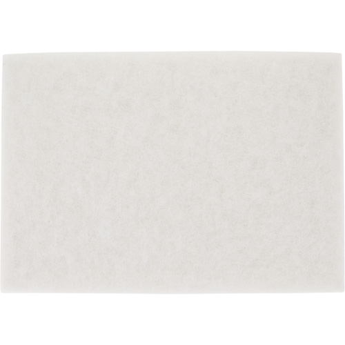 Tampon pour planchers TopLine Speed, 14" x 20", Lustrage/Nettoyage/Polissage, Blanc Groupe Belzile Dickner