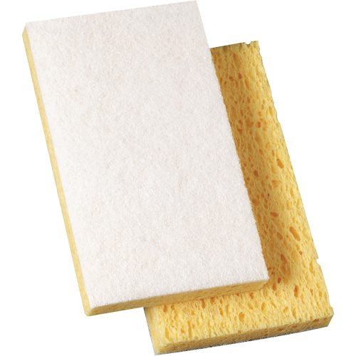 Scotch-Brite Light Duty Scrub Sponge, 3-3/5" L x 6" W Groupe Belzile Dickner