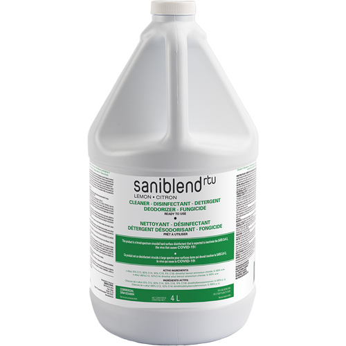 SaniBlend Ready-To-Use Disinfectant & Sanitizer, 4 L, Jug Groupe Belzile Dickner