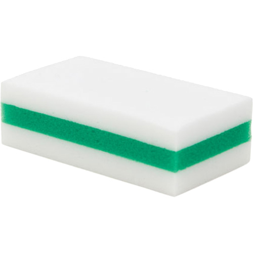 &eacute;ponge de nettoyage eXpunge Plus, &agrave; r&eacute;curer, 3-3/8" la x 6-1/4" l Groupe Belzile Dickner