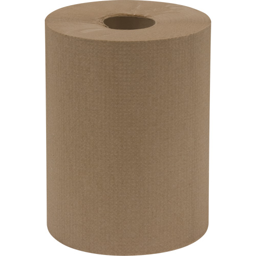 Everest Pro Paper Towel Rolls, 1 Ply, Standard, 425' L Groupe Belzile Dickner