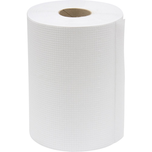 Everest Pro Paper Towel Rolls, 1 Ply, Standard, 425' L Groupe Belzile Dickner