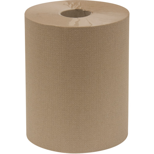 Everest Pro Paper Towel Rolls, 1 Ply, Standard, 600' L Groupe Belzile Dickner