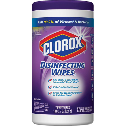 Disinfecting Wipes, 75 Count Groupe Belzile Dickner