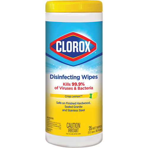 Disinfecting Wipes, 35 Count Groupe Belzile Dickner