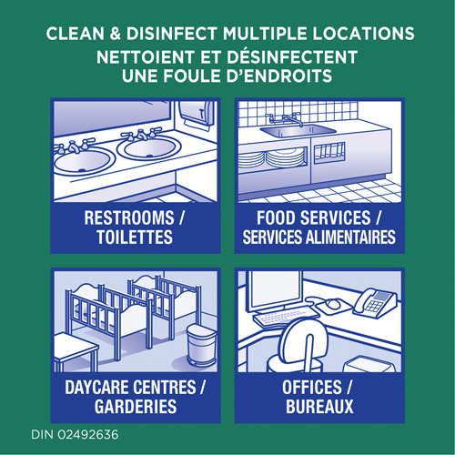 Disinfecting Wipes, 75 Count Groupe Belzile Dickner