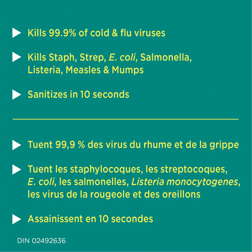 Disinfecting Wipes, 75 Count Groupe Belzile Dickner