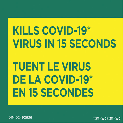 Disinfecting Wipes, 75 Count Groupe Belzile Dickner