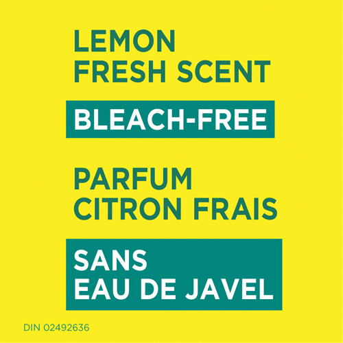 Disinfecting Wipes, 75 Count Groupe Belzile Dickner