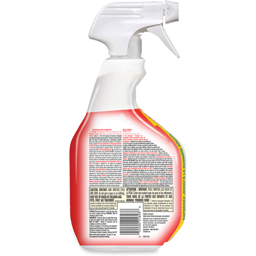 Disinfecting Bio Stain & Odour Remover, 946 ml, Trigger Bottle Groupe Belzile Dickner