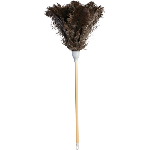 Superior Feather Duster, Ostrich Feather Groupe Belzile Dickner