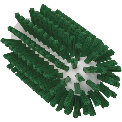 2.5" Brush, Stiff Bristles, 5-3/5" Long, Green Groupe Belzile Dickner