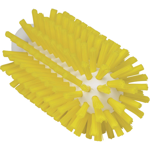2.5" Brush, Stiff Bristles, 5-3/5" Long, Yellow Groupe Belzile Dickner