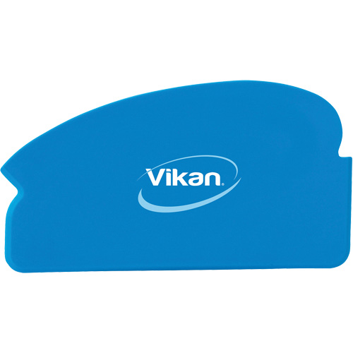 Flexible Hand Scraper, Blue, 6-1/2" W x 3-3/4" L Groupe Belzile Dickner