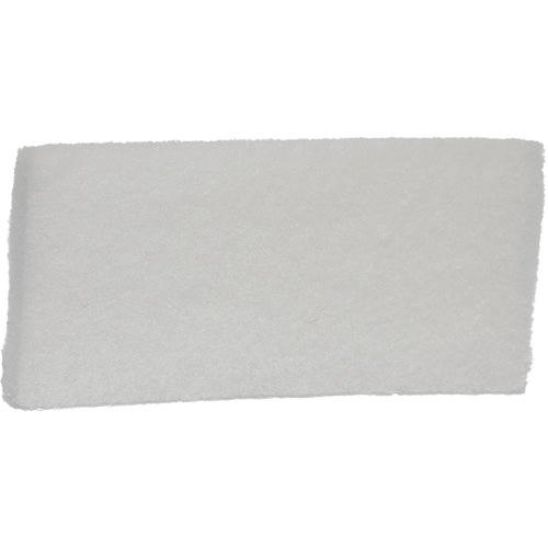 Fine Scrub Pad, 10" L x 4-1/2" W Groupe Belzile Dickner