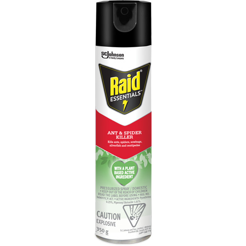 Insecticide pour araign&eacute;es et fourmis Essentials Raid, 350 g, Canette a&eacute;rosol Groupe Belzile Dickner