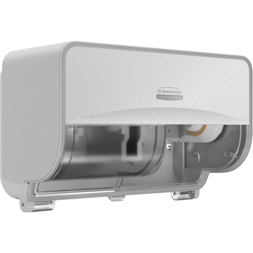 Icon Standard Roll Horizontal Toilet Paper Dispenser, Multiple Roll Capacity Groupe Belzile Dickner