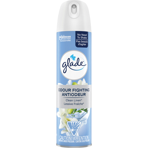 Air Freshener, Clean Linen&reg;, Aerosol Can Groupe Belzile Dickner