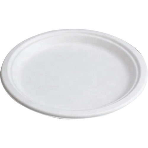 Compostable Plates Groupe Belzile Dickner