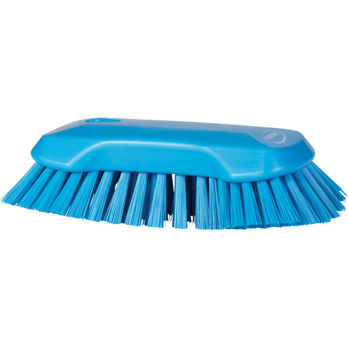 Hand Brush, Extra Stiff Bristles, 9-1/10" Long, Blue Groupe Belzile Dickner