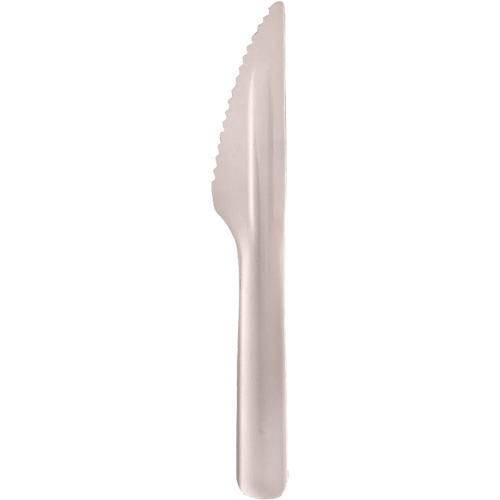 Bagasse Compostable Knives Groupe Belzile Dickner