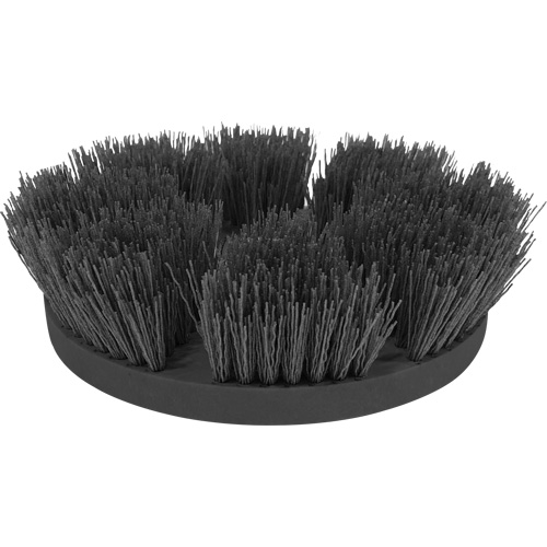 Brosse pour le nettoyage de tuile et coulis Groupe Belzile Dickner