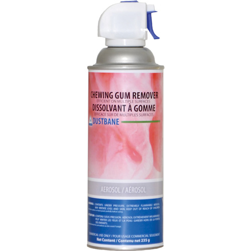 Chewing Gum Remover, 235 g, Aerosol Can Groupe Belzile Dickner