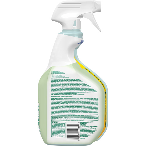 CloroxPro Clorox EcoClean Disinfecting Cleaner, 946 ml, Trigger Bottle Groupe Belzile Dickner