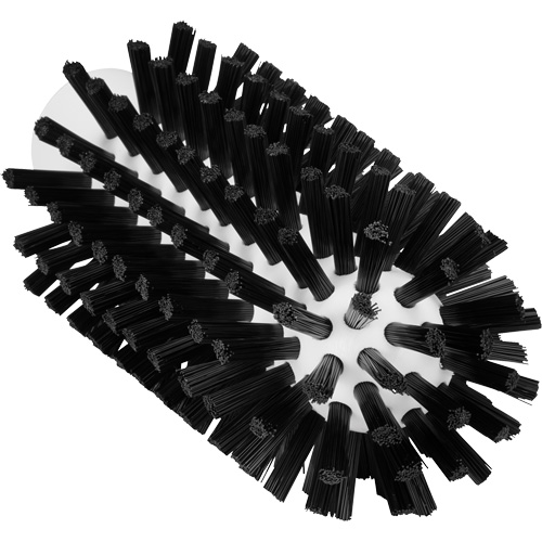 Brosse de nettoyage, Soies Ferme, Longueur de 5-7/10", Noir Groupe Belzile Dickner
