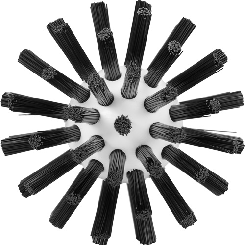 Brosse de nettoyage, Soies Ferme, Longueur de 5-7/10", Noir Groupe Belzile Dickner