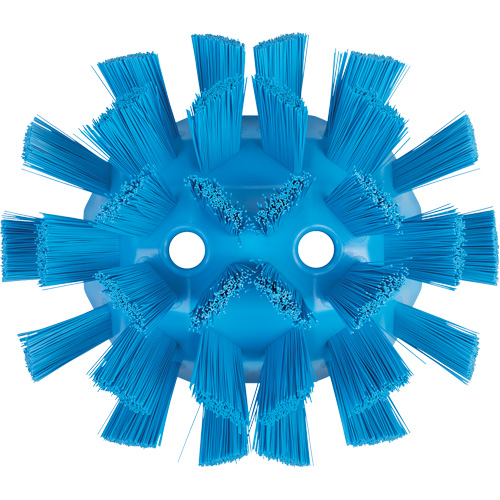Brosse UST pour cuves, Soies Ferme, Longueur de 7-1/2", Bleu Groupe Belzile Dickner