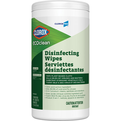 EcoClean Disinfecting Wipes, 75 Count Groupe Belzile Dickner