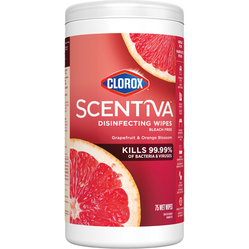 Disinfecting Wipes, 75 Count Groupe Belzile Dickner