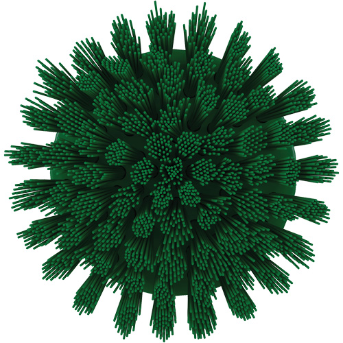 HyDrive Round Drill Brush, Extra Stiff Bristles, 3-1/10" Long, Green Groupe Belzile Dickner