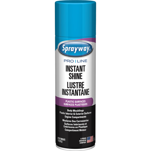 Pro Line Instant Shine for Plastic Surfaces, 11 oz., Aerosol Can Groupe Belzile Dickner