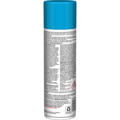 Pro Line Instant Shine for Plastic Surfaces, 11 oz., Aerosol Can Groupe Belzile Dickner