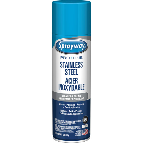 Nettoyant & polis pour acier inoxydable Pro Line, 15 oz, Canette a&eacute;rosol Groupe Belzile Dickner