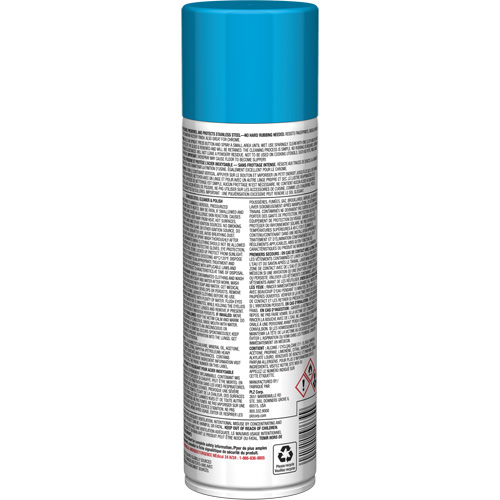 Nettoyant & polis pour acier inoxydable Pro Line, 15 oz, Canette a&eacute;rosol Groupe Belzile Dickner