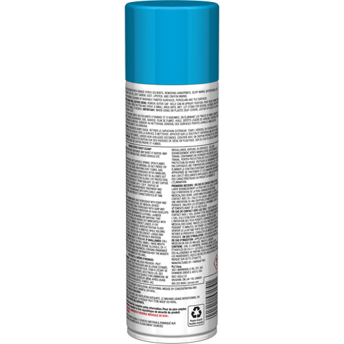 Nettoyant tout usage Pro Line Crazy Clean, 19 oz., Canette a&eacute;rosol Groupe Belzile Dickner