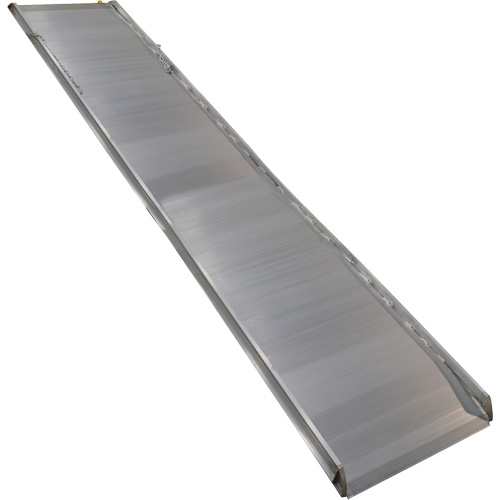 Aluminum Walk Ramp, 1000 lbs. Capacity, 38" W x 193-1/8" L Groupe Belzile Dickner
