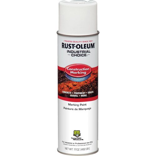 Water Based Marking Paint, 17 oz., Aerosol Can Groupe Belzile Dickner