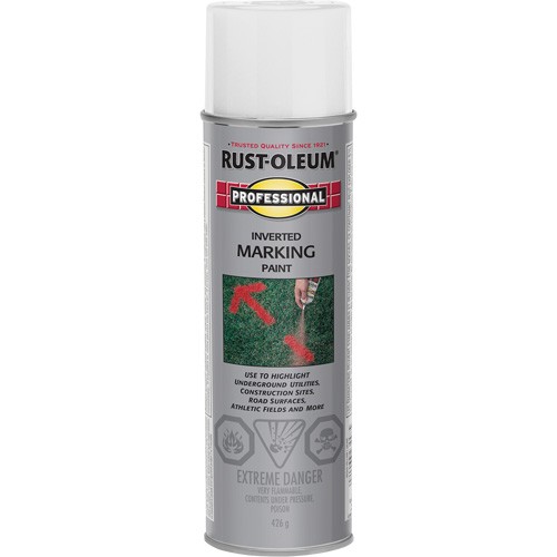 Inverted Marking Paint Spray, 426 g, Aerosol Can Groupe Belzile Dickner