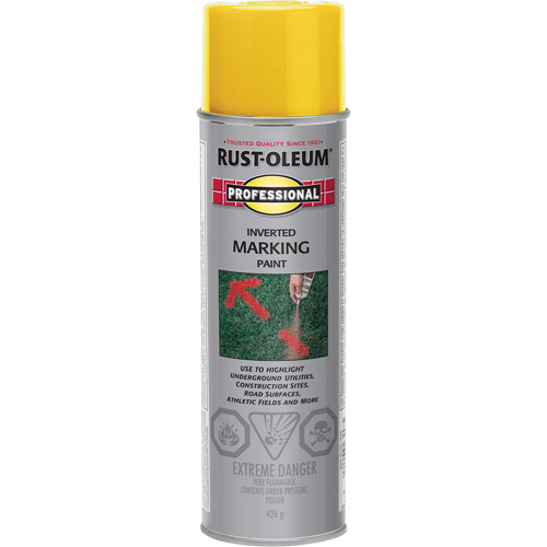 Inverted Marking Paint Spray, 426 g, Aerosol Can Groupe Belzile Dickner