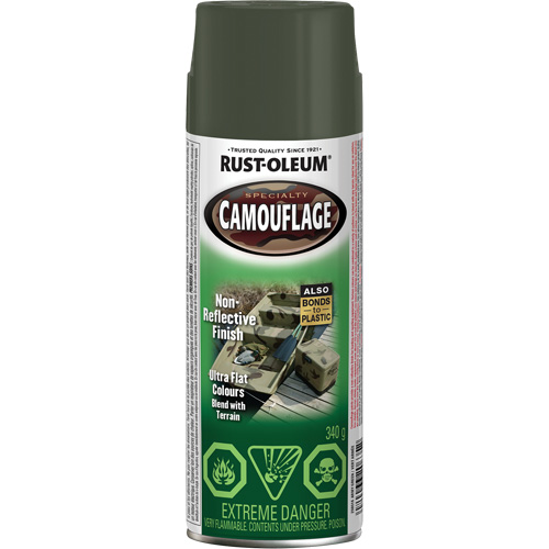 Peinture de camouflage Sp&eacute;cialit&eacute;, Canette a&eacute;rosol, Vert arm&eacute;e Groupe Belzile Dickner