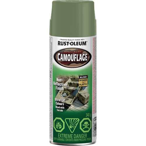 Peinture de camouflage Sp&eacute;cialit&eacute;, Canette a&eacute;rosol, Brun terre Groupe Belzile Dickner