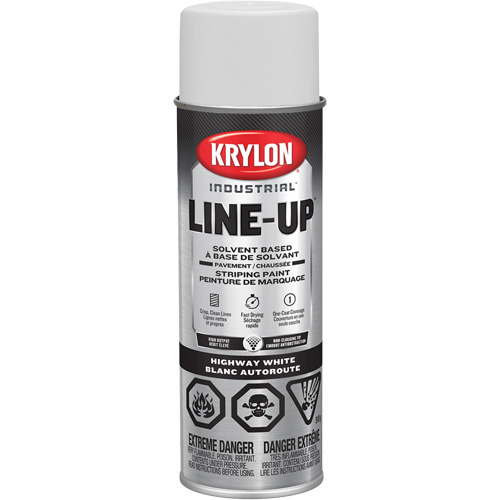 Professional Solvent-Based Marking Paint, White, 18 oz., Aerosol Can Groupe Belzile Dickner