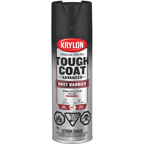 Tough Coat&reg; Advanced Paint with Rust Barrier Technology, Black, Flat, 425 g, Aerosol Can Groupe Belzile Dickner