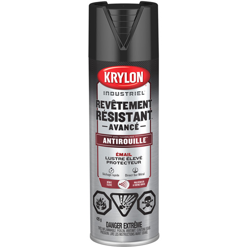 Tough Coat&reg; Advanced Paint with Rust Barrier Technology, Black, High-Gloss, 425 g, Aerosol Can Groupe Belzile Dickner