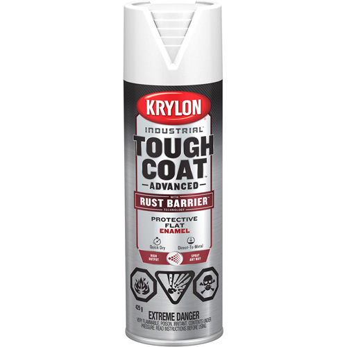 Tough Coat&reg; Advanced Paint with Rust Barrier Technology, White, Flat, 425 g, Aerosol Can Groupe Belzile Dickner