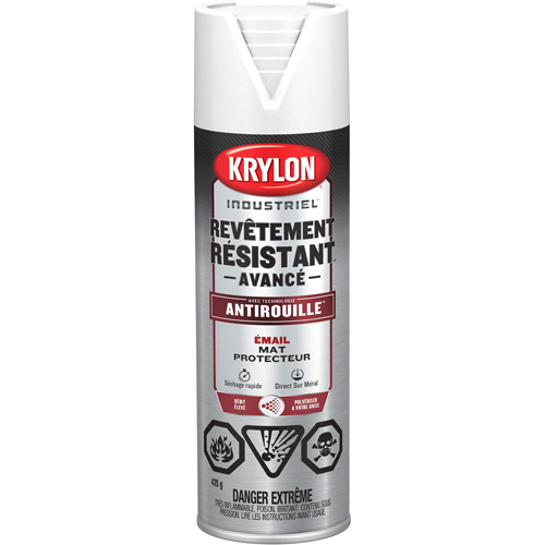 Tough Coat&reg; Advanced Paint with Rust Barrier Technology, White, Flat, 425 g, Aerosol Can Groupe Belzile Dickner